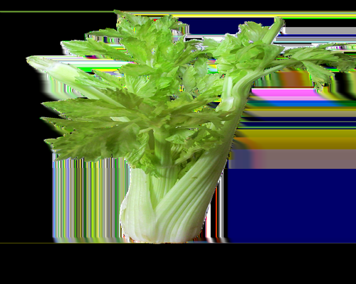 Healthy lifestyle diet with fresh organic food ingredients